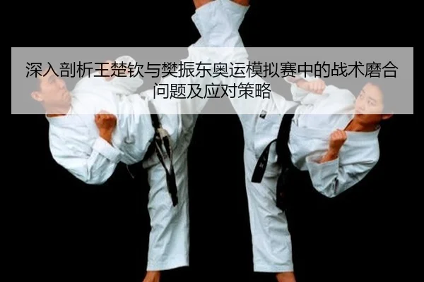 shen-ru-pou-xi-wang-chu-qin-yu-fan-zhen-dong-ao-yun-mo-ni-sai-zhong-de-zhan-shu-mo-he-wen-ti-ji-ying-dui-ce-lve-2-983.jpg